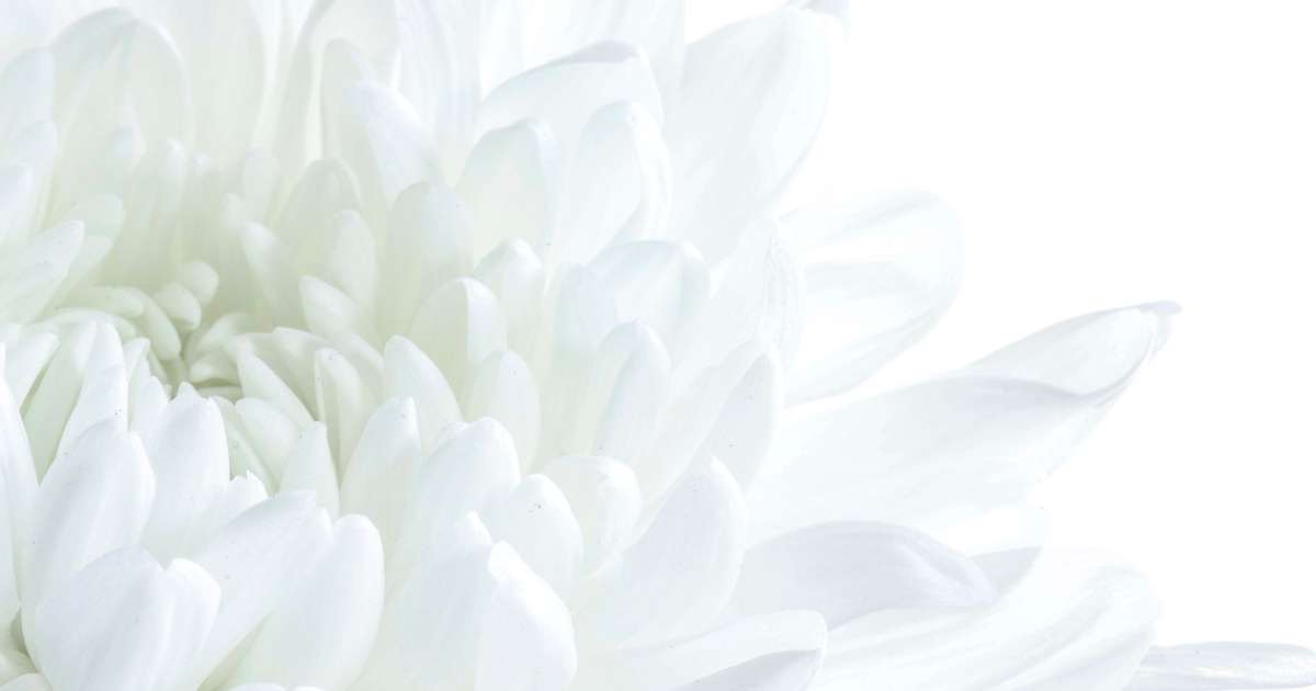 Get2 Leistungen • Get2 Aesthetics Plastische & Ästhetische Chirurgie ...
