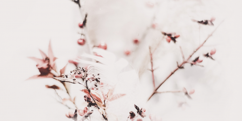 Get2 Aesthetics Plastische & Ästhetische Chirurgie Braunschweig & Hannover